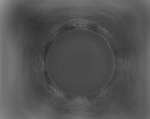 X0000082971013200702081736