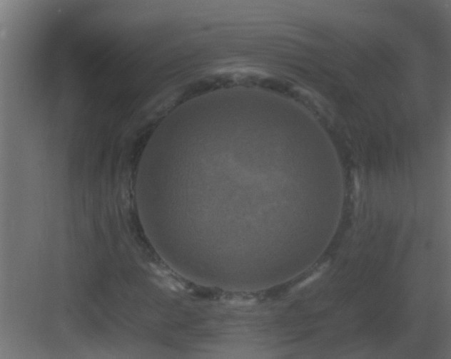 X0000082971014200702081736