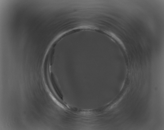 X0000082971037200702081736