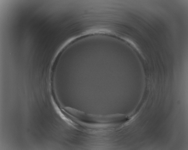 X0000082971038200702081736