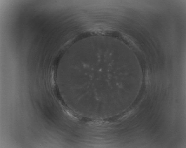 X0000082971060200702081736