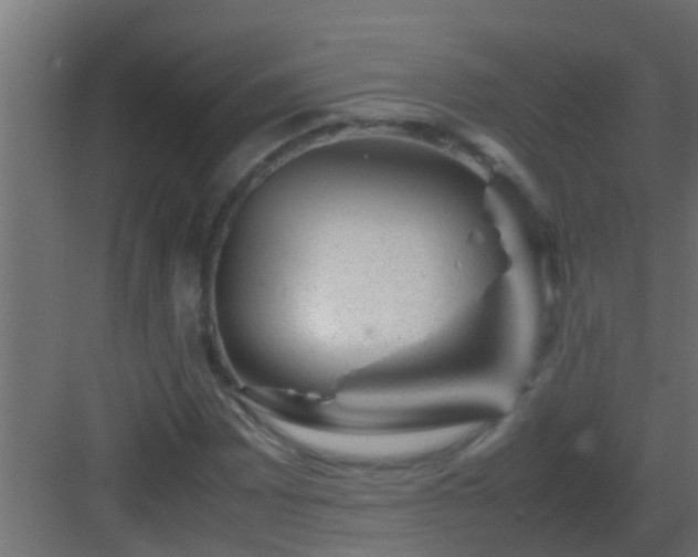 X0000082971065200702081736