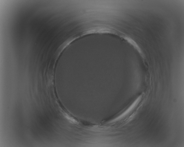 X0000082971081200702081736