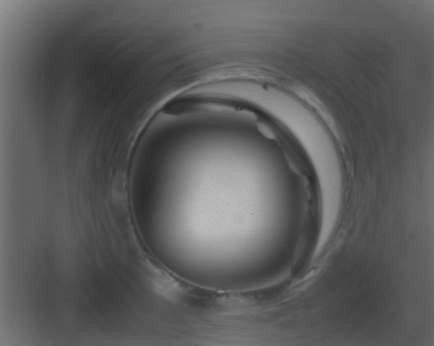 X0000082971089200702081735