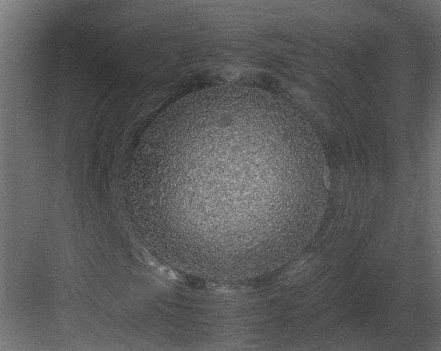 X0000082971105200702081734