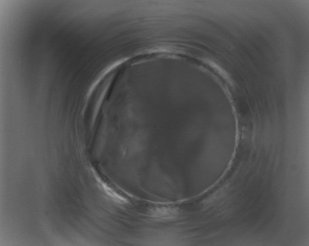 X0000082971117200702081735