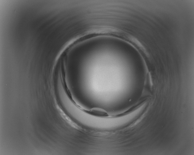 X0000082971122200702081735