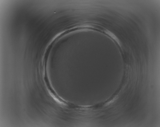 X0000082971127200702081735