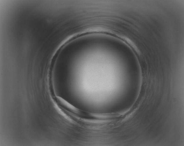 X0000082971134200702081735