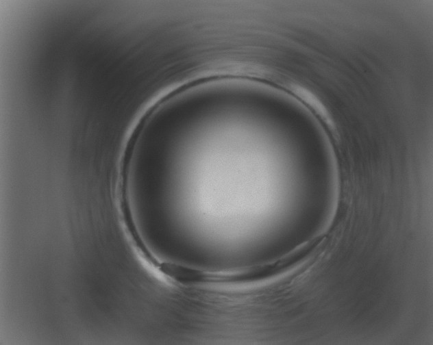 X0000082971136200702081735