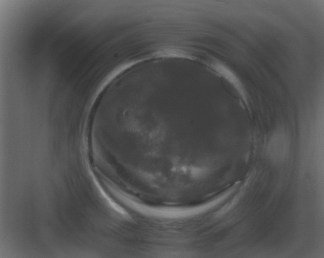 X0000082971141200702081735