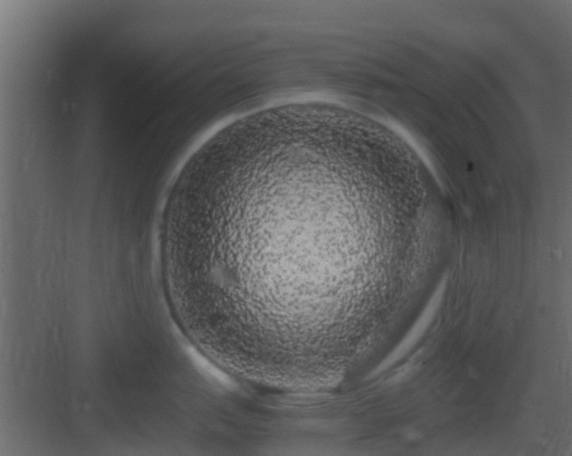 X0000082971151200702081735