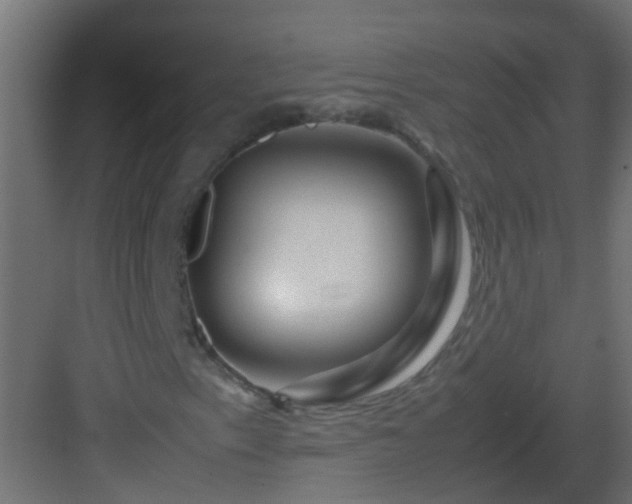 X0000082971153200702081734