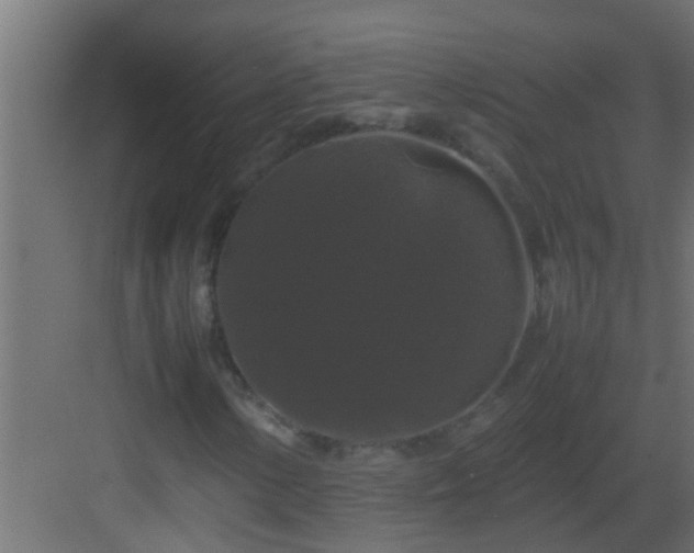 X0000082971154200702081734