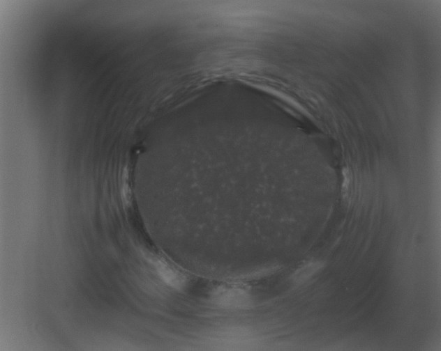 X0000082971156200702081734