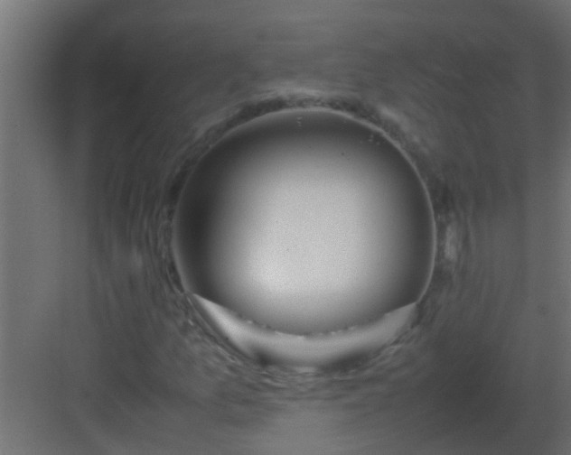 X0000082971157200702081734