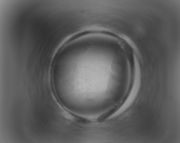 X0000082971183200702081734