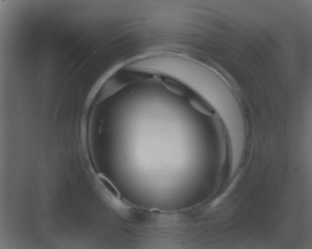 X0000082971196200702081734