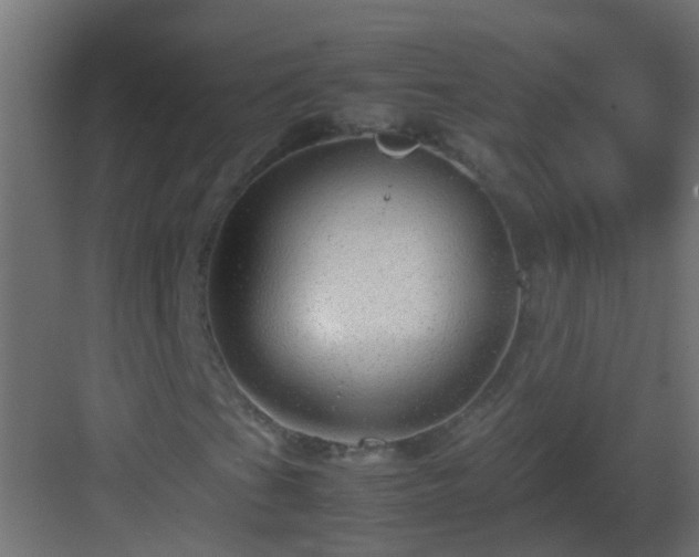 X0000082971201200702081733