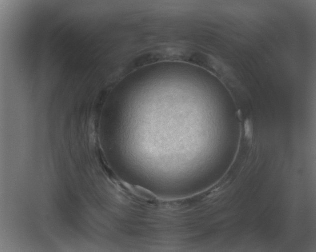 X0000082971203200702081733