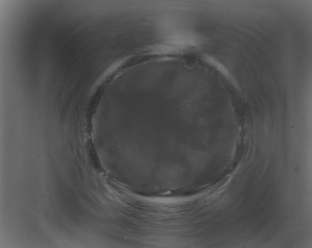 X0000082971213200702081733