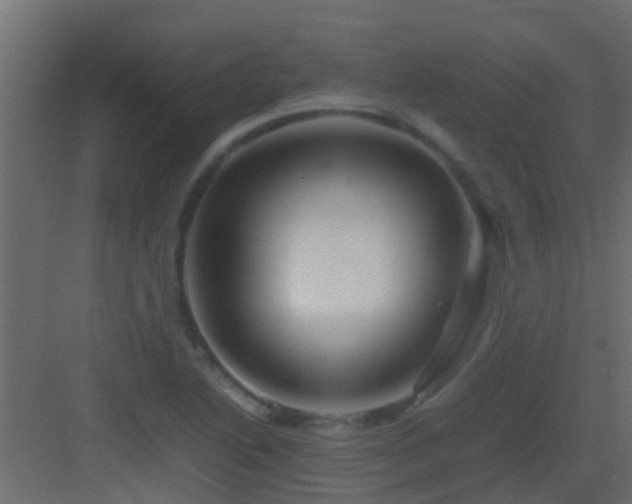 X0000082971222200702081733