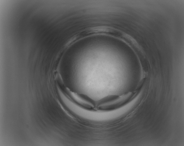 X0000082971225200702081733