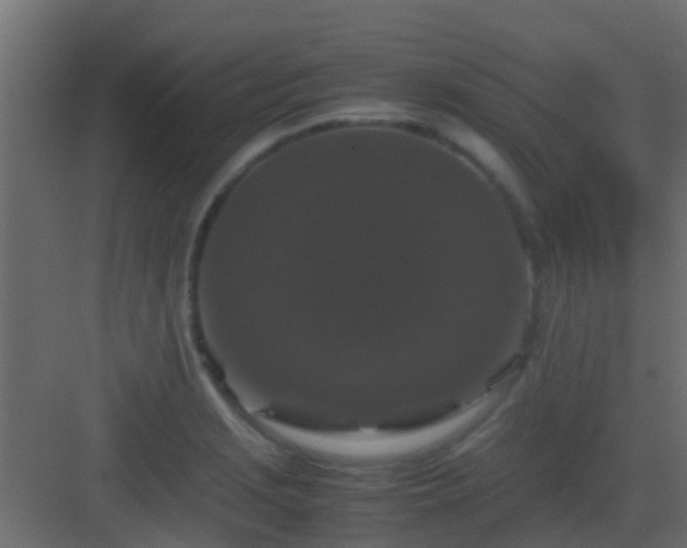 X0000082971229200702081733
