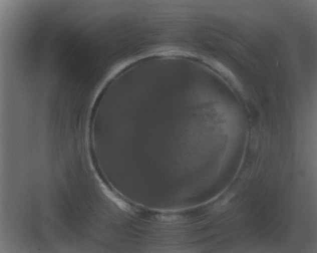 X0000082971231200702081733