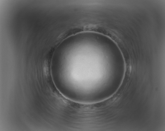 X0000082971252200702081733