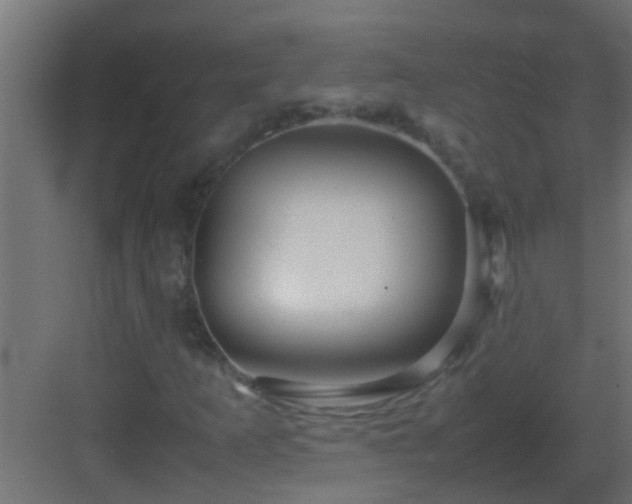 X0000082971253200702081733