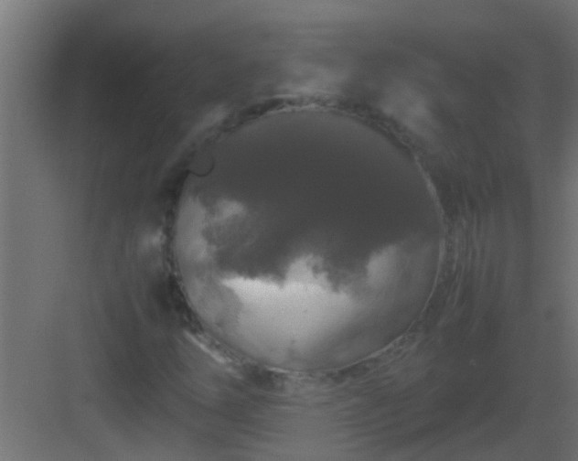 X0000082971254200702081733