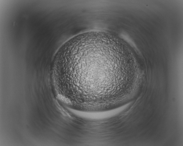 X0000082971260200702081732