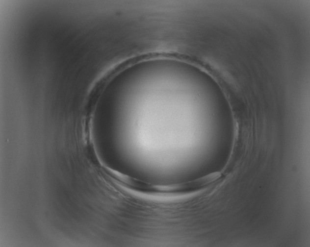 X0000082971262200702081732