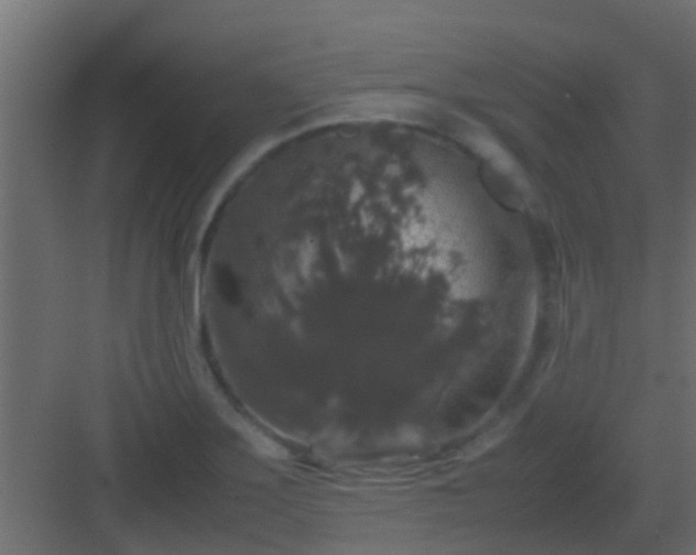 X0000082971275200702081732