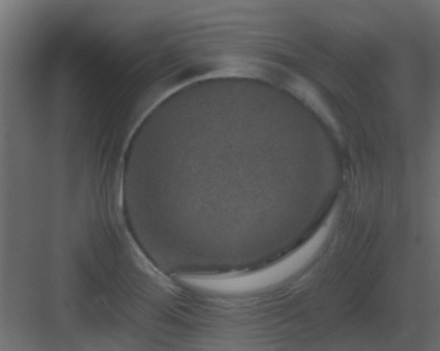 X0000082971276200702081732