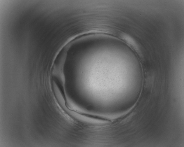 X0000082971284200702081732