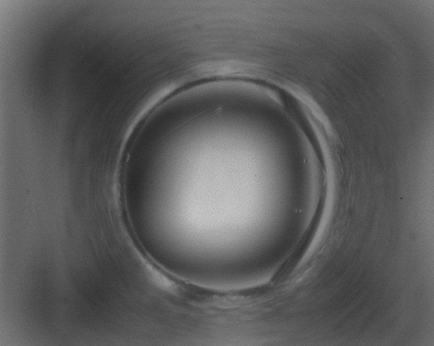 X0000082971285200702081732