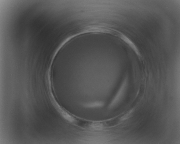 X0000082971291200702081732