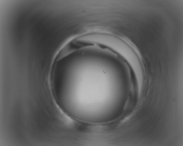 X0000082971293200702081732