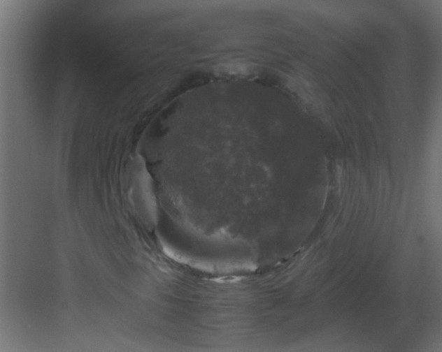 X0000082971297200702081731