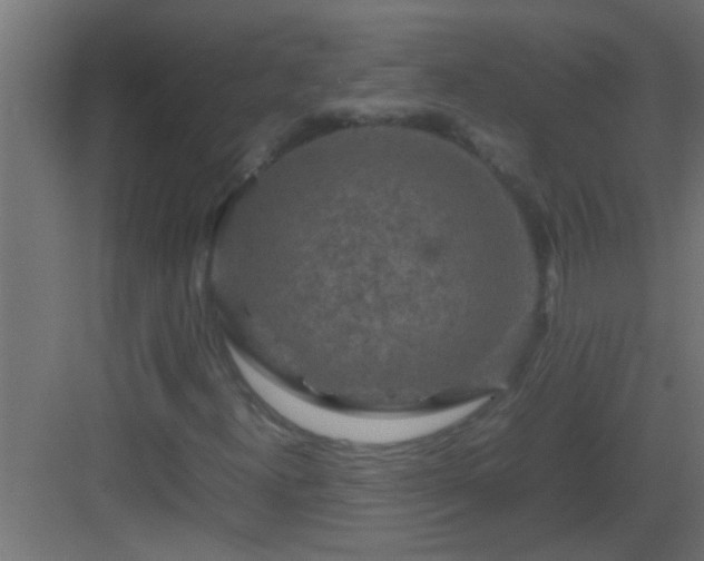 X0000082971300200702081731