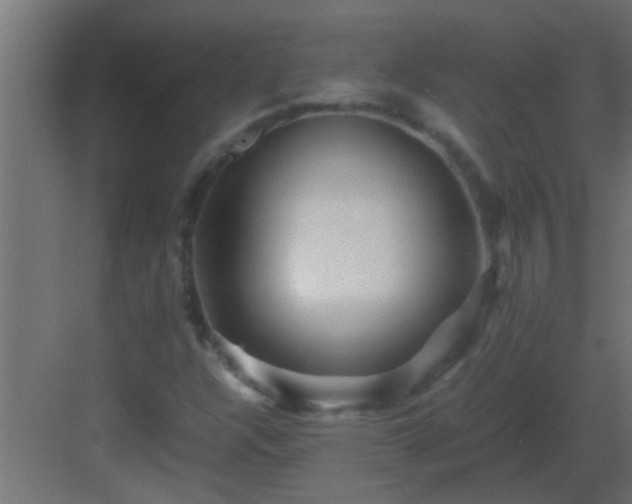 X0000082971304200702081731