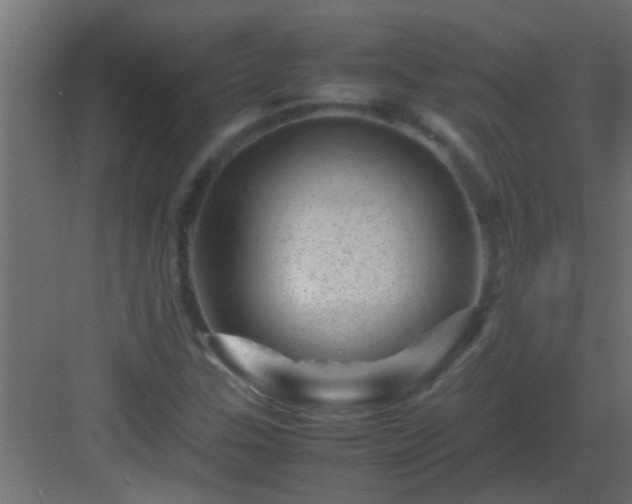 X0000082971307200702081731