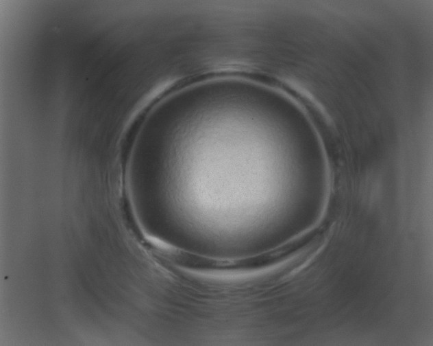 X0000082971317200702081731