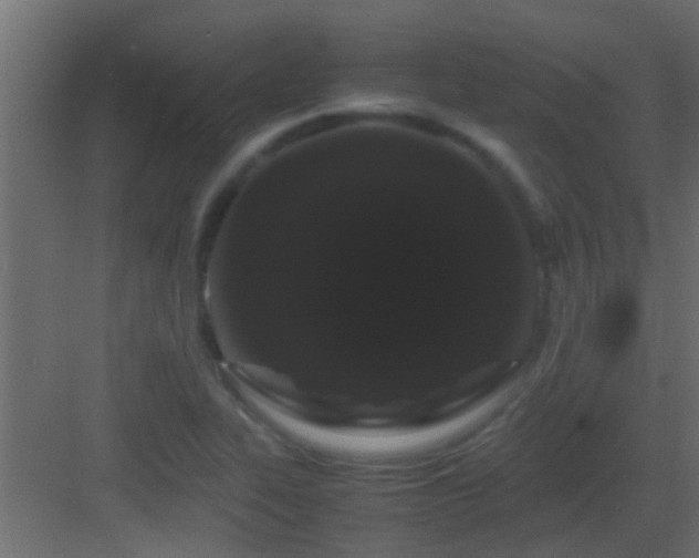 X0000082971319200702081731