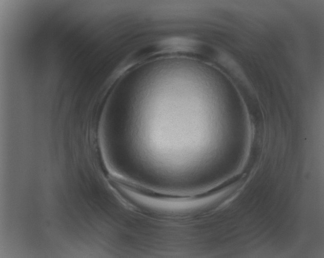 X0000082971321200702081731