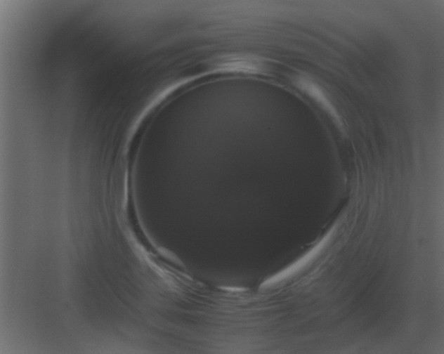 X0000082971323200702081732