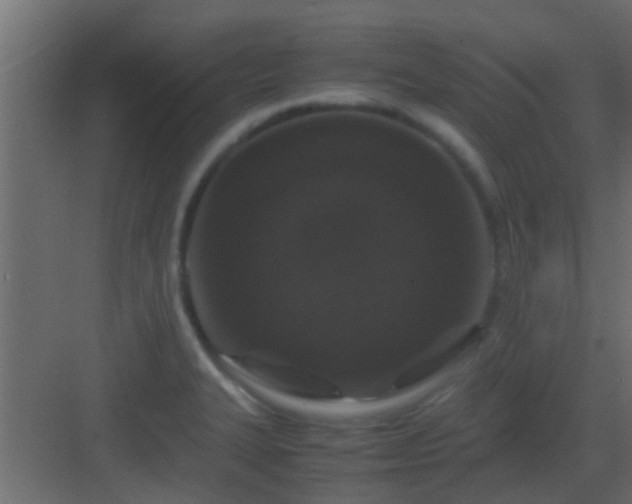 X0000082971327200702081732