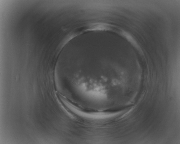 X0000082971329200702081732